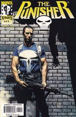 Rika-Comic-Shop--Punisher---Volume-5---11