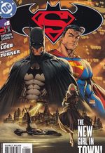 Rika-Comic-Shop--Superman-Batman---08
