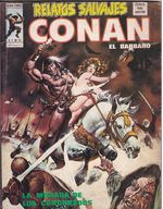 Rika-Comic-Shop--Relatos-Salvajes-Vol.-1---Conan-El-Barbaro---38