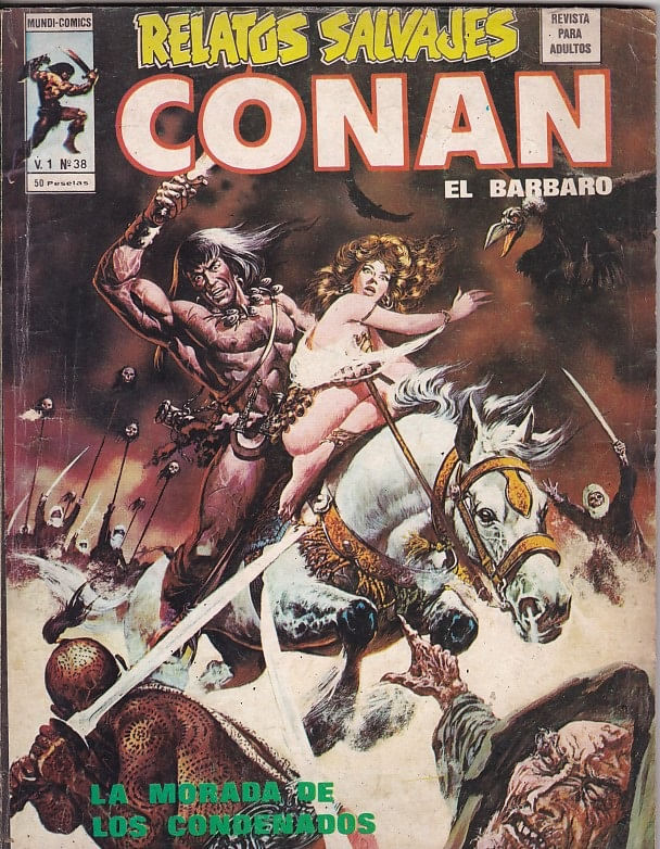 Rika-Comic-Shop--Relatos-Salvajes-Vol.-1---Conan-El-Barbaro---38