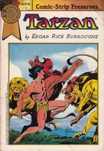 Rika-Comic-Shop--Tarzan-Series---2--TPB-