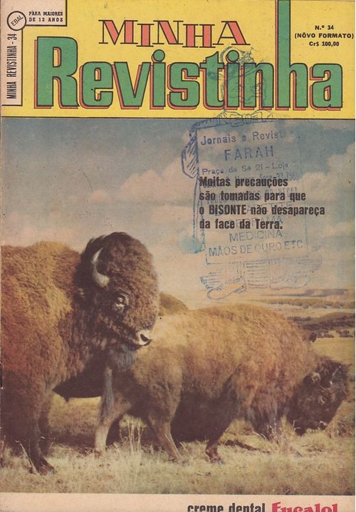 Minha Revistinha - 1ª Série # 34