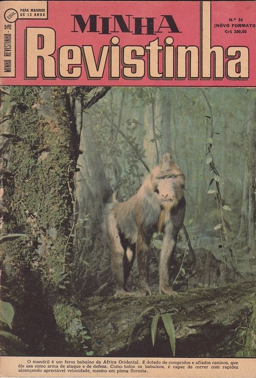 Minha Revistinha - 1ª Série # 36