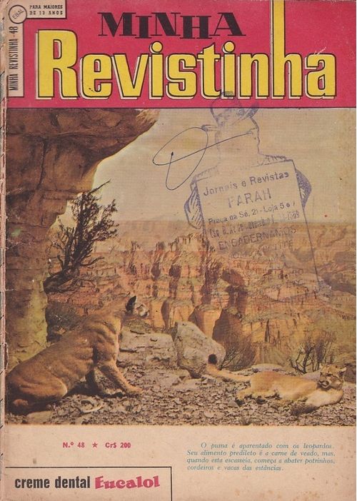 Minha Revistinha - 1ª Série # 48
