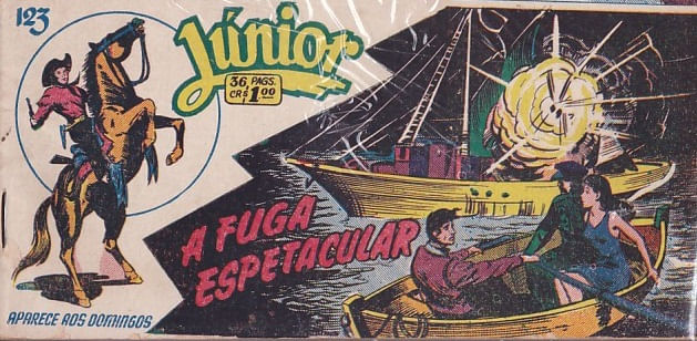 https---www.artesequencial.com.br-imagens-raridades_etc-Junior_123