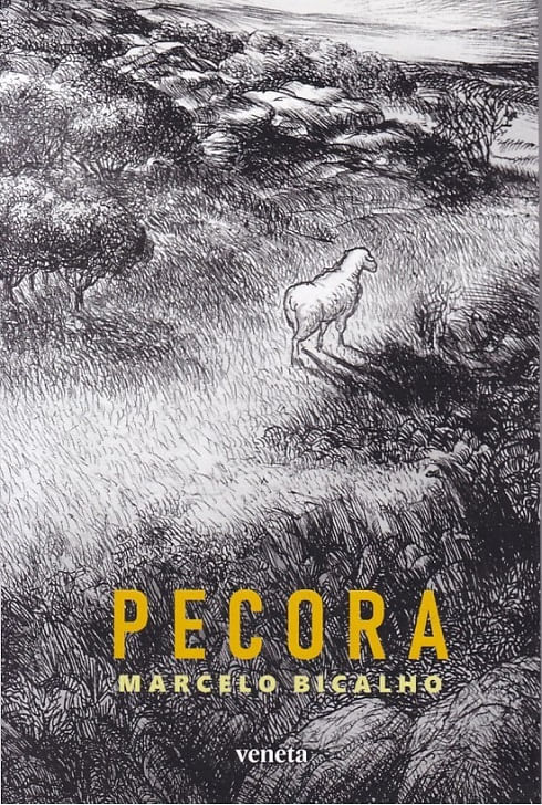 Pecora