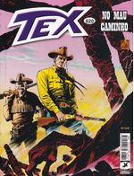Rika-Comic-Shop--Tex---620
