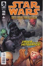 https---www.artesequencial.com.br-imagens-importados-yuri-Star-Wars-Darth-Vader-and-the-Ninth-Assassin-3
