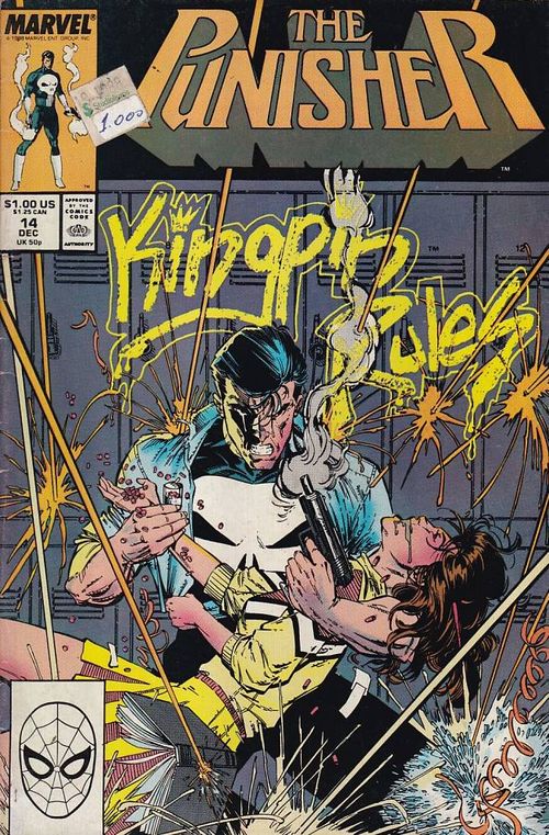 Punisher - Volume 2 # 14