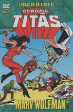 https---www.artesequencial.com.br-imagens-bruno-lendas-do-universo-dc-os-novos-titas-marv-wolfman-20