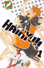 https---www.artesequencial.com.br-imagens-mangas-haikyu-01