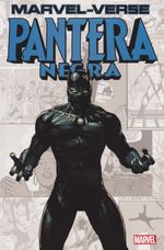 https---www.artesequencial.com.br-imagens-2023-04-marvel-verse-pantera-negra