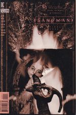 https---www.artesequencial.com.br-imagens-2023-05-Sandman-59
