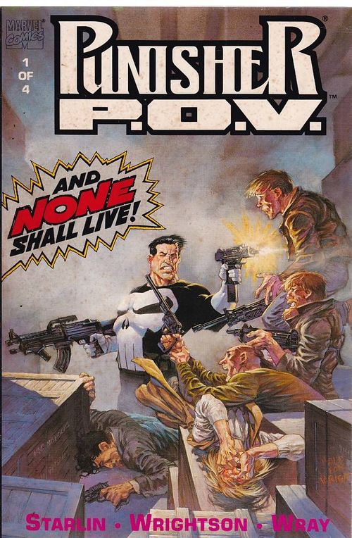 Punisher POV # 1 (TPB)