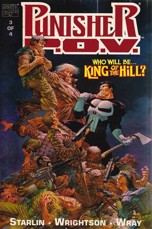Punisher POV # 3 (TPB)