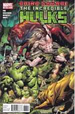 https---www.artesequencial.com.br-imagens-2023-05-Incredible-Hulks-623