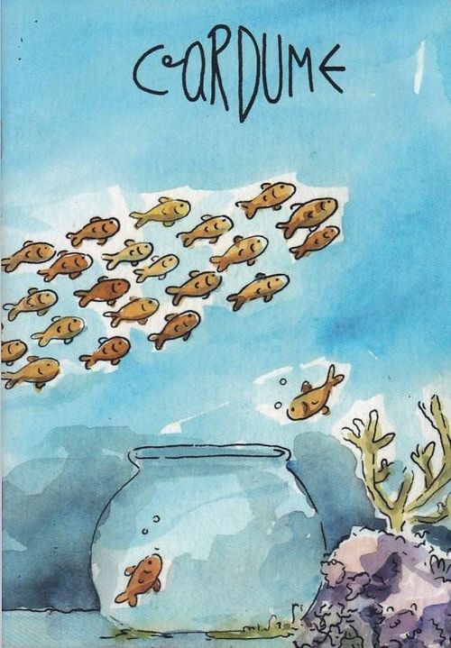 Cardume