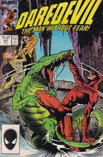 https---www.artesequencial.com.br-imagens-2023-08-Daredevil-Volume1-247