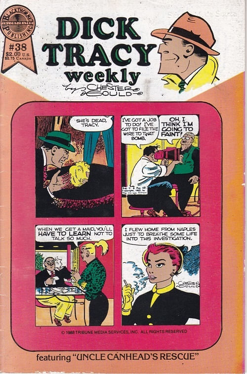 https---www.artesequencial.com.br-imagens-2024-05-Dick-Tracy-Monthly-Weekly-38