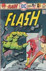 https---www.artesequencial.com.br-imagens-2024-05-Flash-Volume1-236