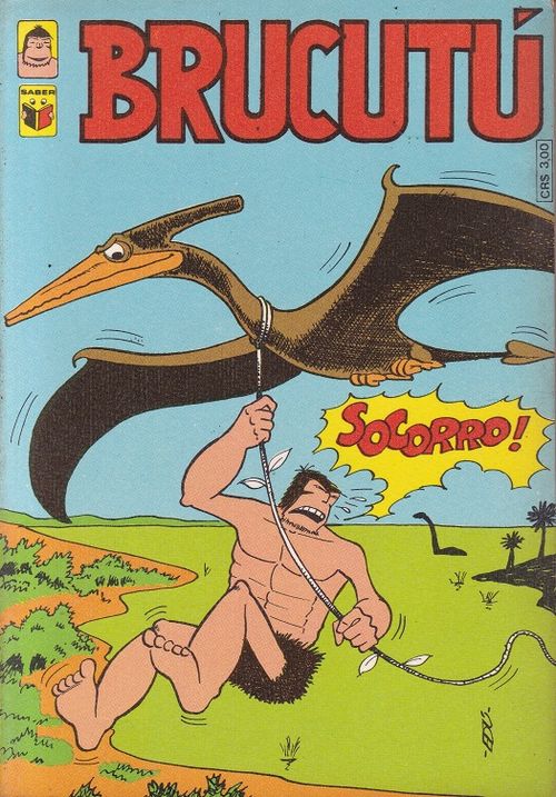 Brucutu # 13