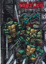 https---artesequencial.com.br-imagens-2024-09-yuri-hc-Teenage-Mutant-Ninja-Turtles-The-Ultimate-Collection-HC-5