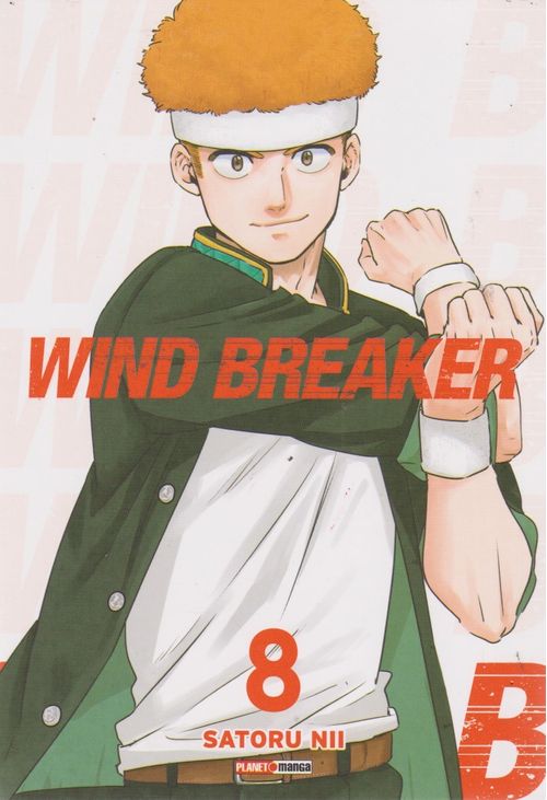 Wind Breaker # 08