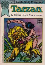 https---www.artesequencial.com.br-imagens-2024-12-Tarzan-Series-TPB-4