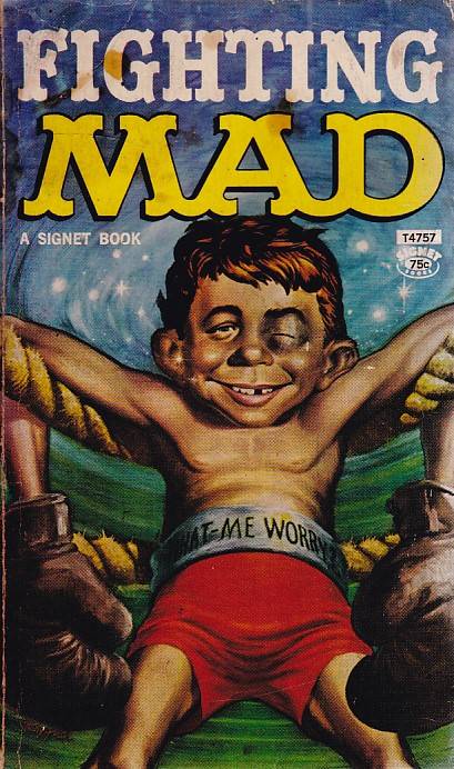 Mad - Boiling Mad (TPB)