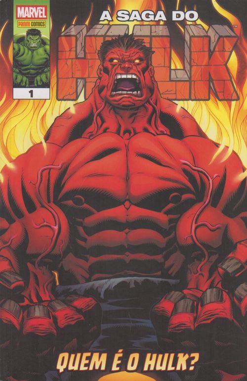 Saga do Hulk # 01